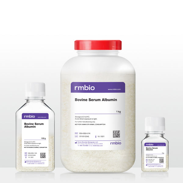 Lyophilized Bovine Serum Albumin in a 100 gram bottle, a 1 kilogram tub, and a 10 gram bottle.
