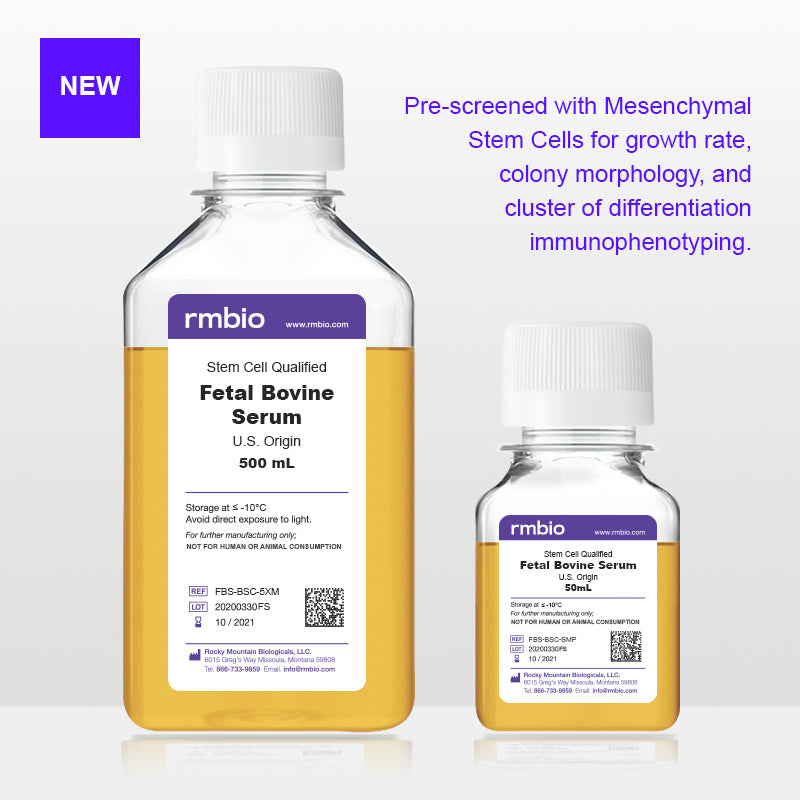 Fetal Bovine Serum Stem Cell Qualified RMBIO