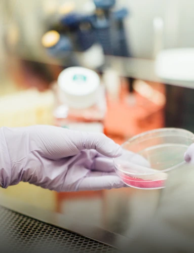 rmbio – RMBIO