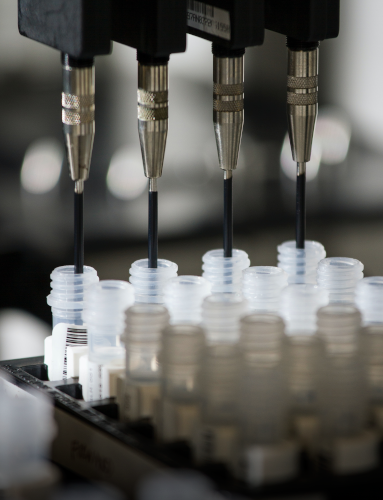 Diagnostic – RMBIO