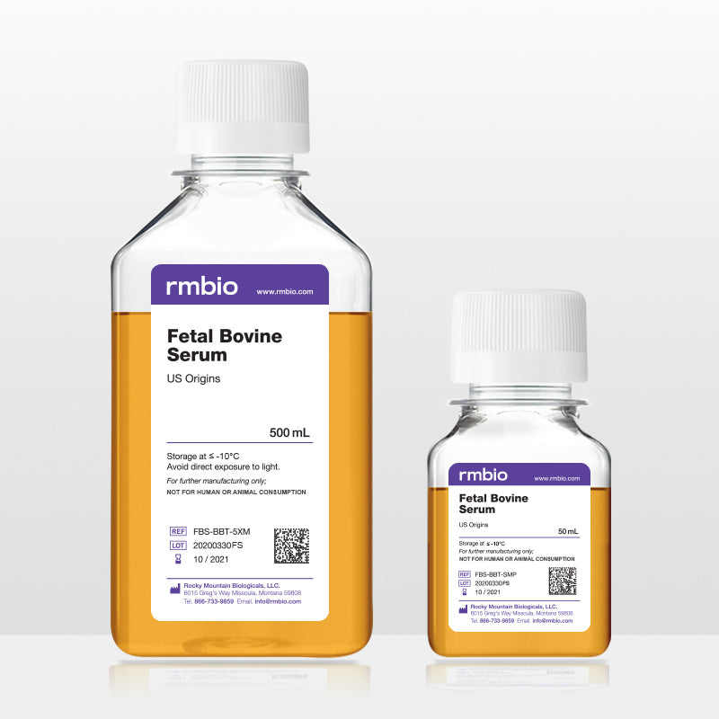 Fetal Bovine Serum (FBS) – RMBIO