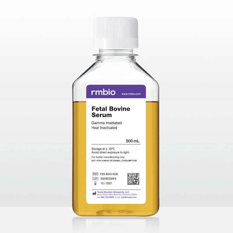 Fetal Bovine Serum (FBS) Gamma Irradiated and Heat Inactivated – RMBIO