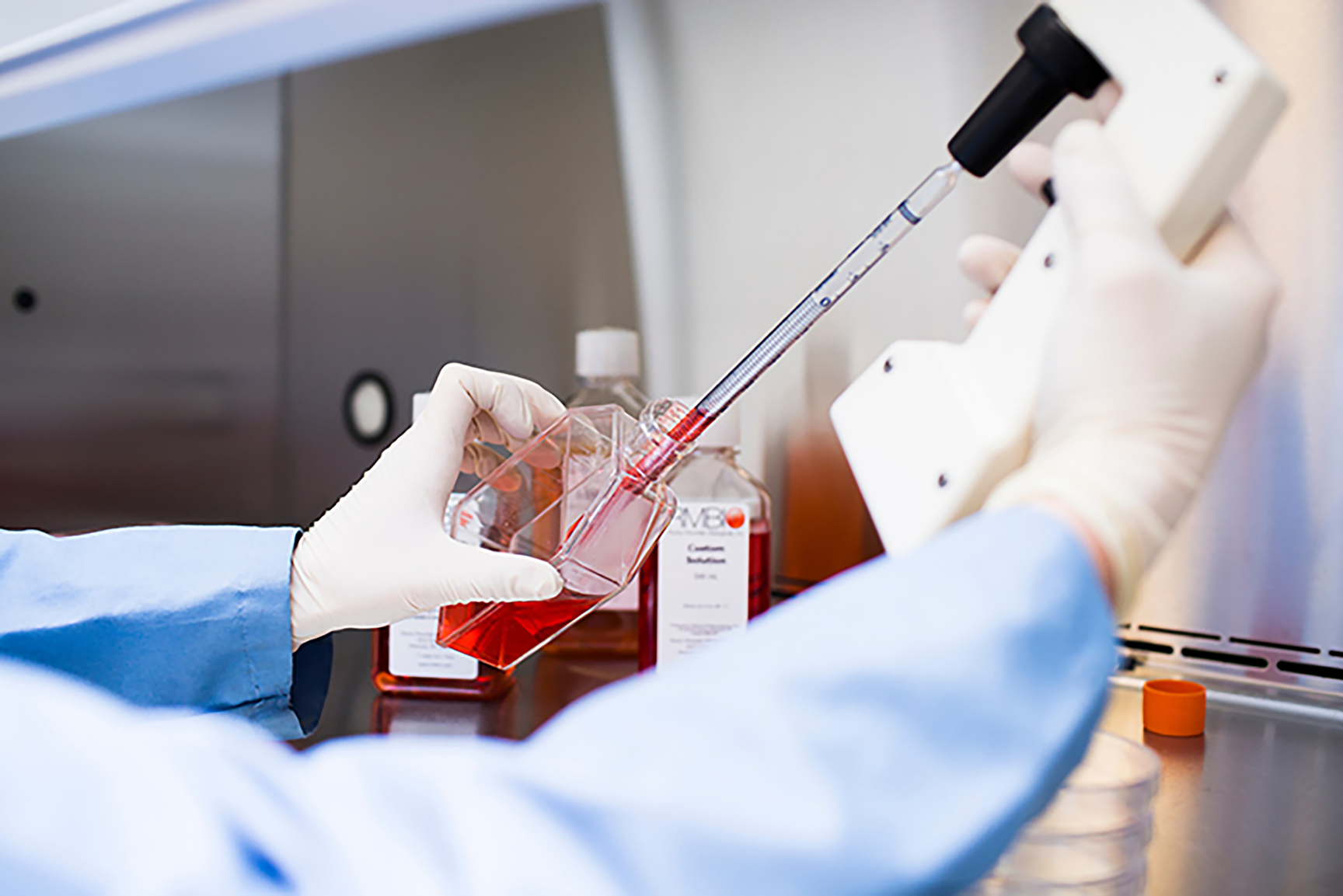 rmbio – RMBIO